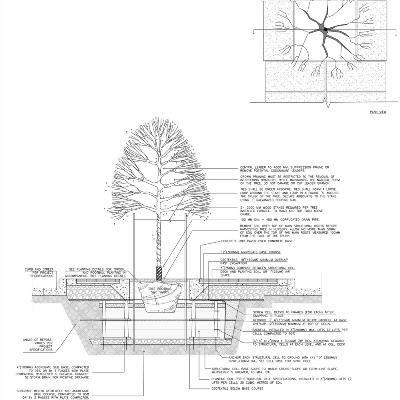 Tree Planting in Typical Streetscape, using structural cells
