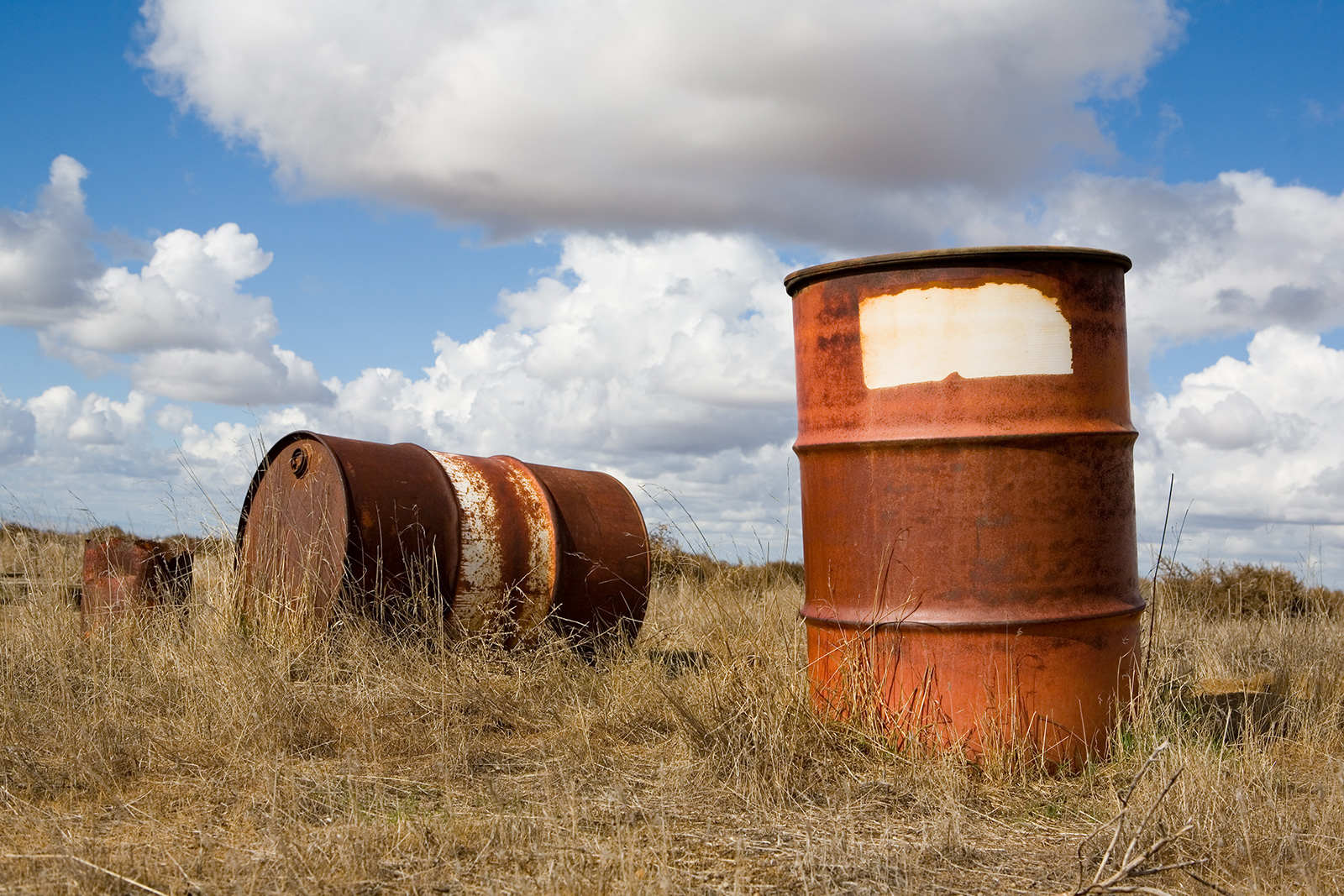 old rusted oil barrels standing or lying on their sides in an overgrown field