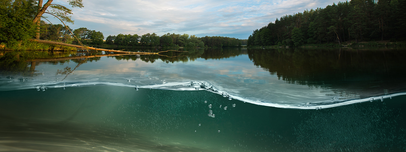 view of water taken half under and half above the waterline