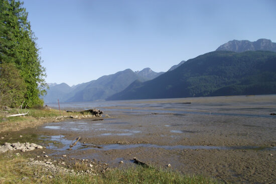 Mountain in front of a lake at low tide