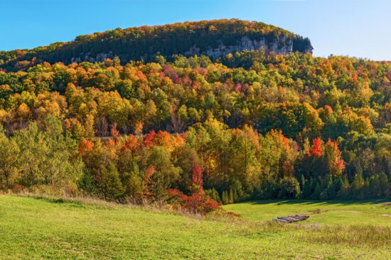 Kelso conversation area during the autumn