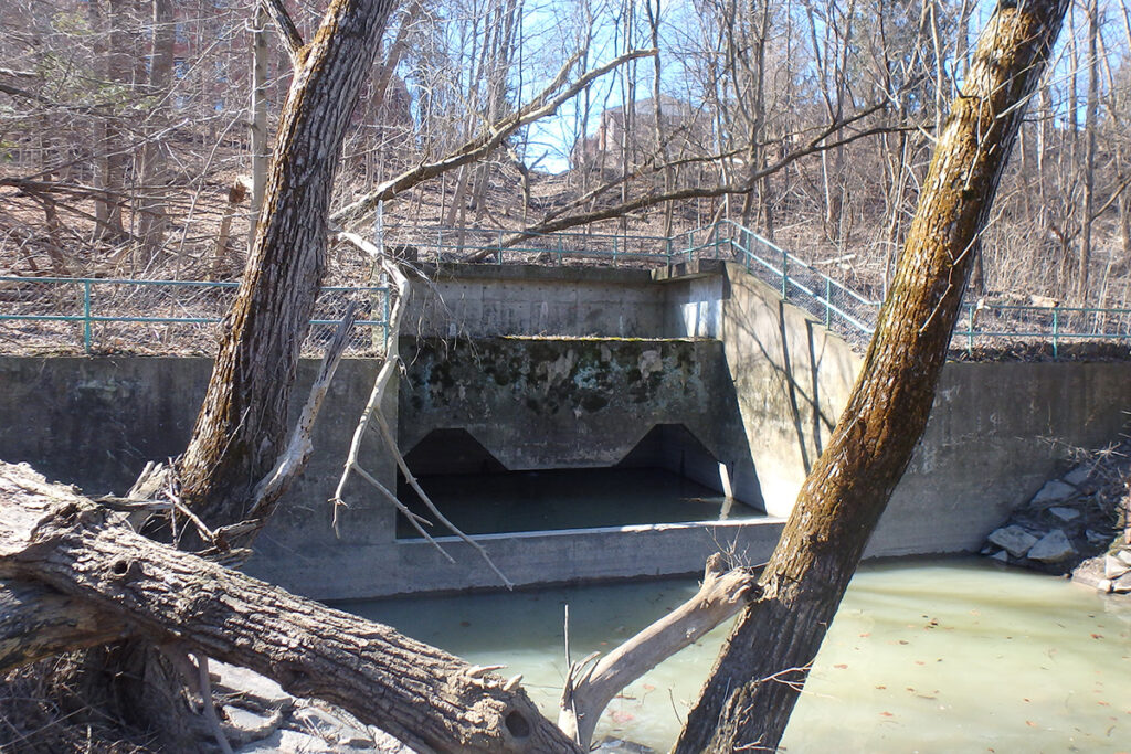 Medway Valley Heritage Forest