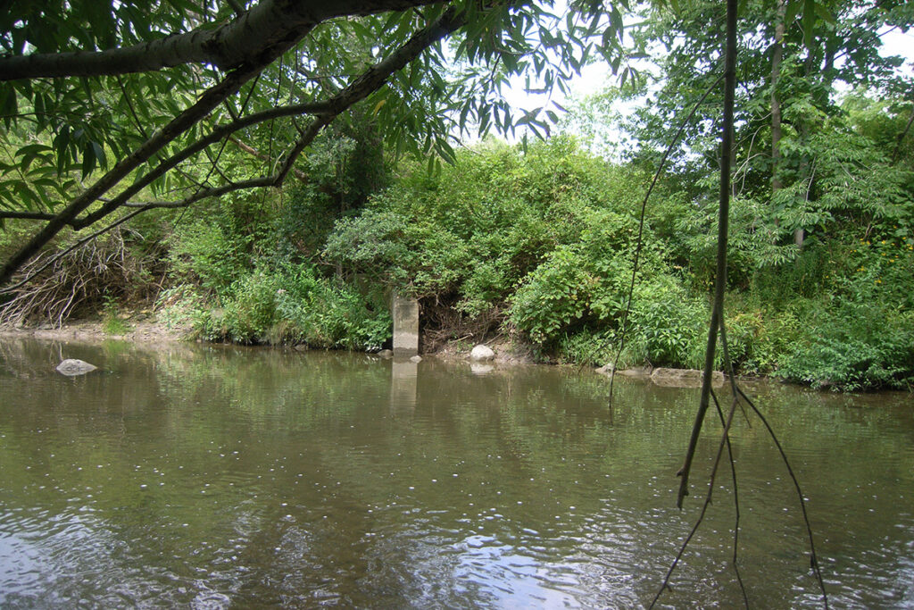Medway Valley Heritage Forest 