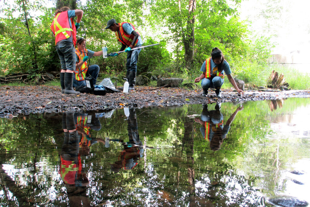 Sharp students monitoring stream