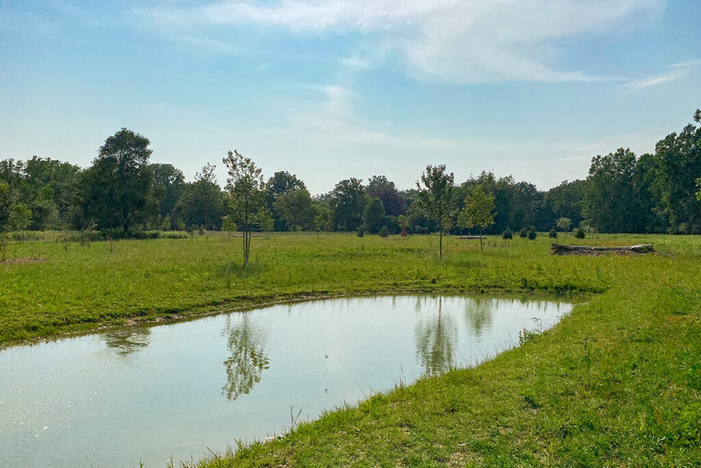 Thames Valley parkway habitat