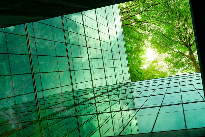 Green office building with trees overhead