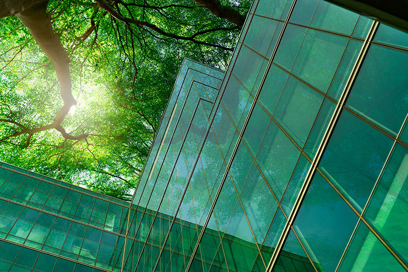 Green tinted office building and trees