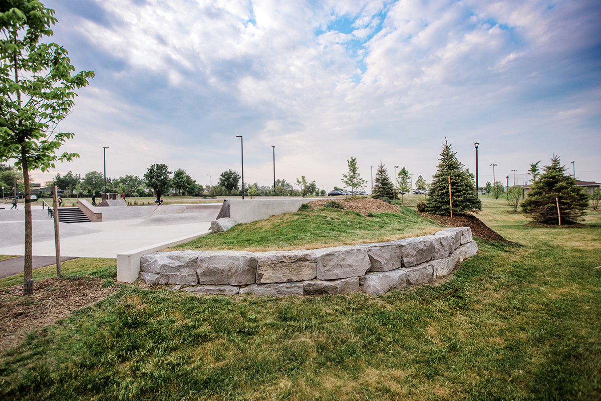 Landscaping surrounding the skate park