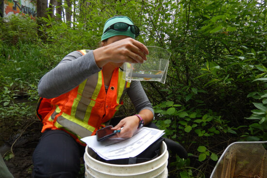 Person measuring aquatic species and recording data