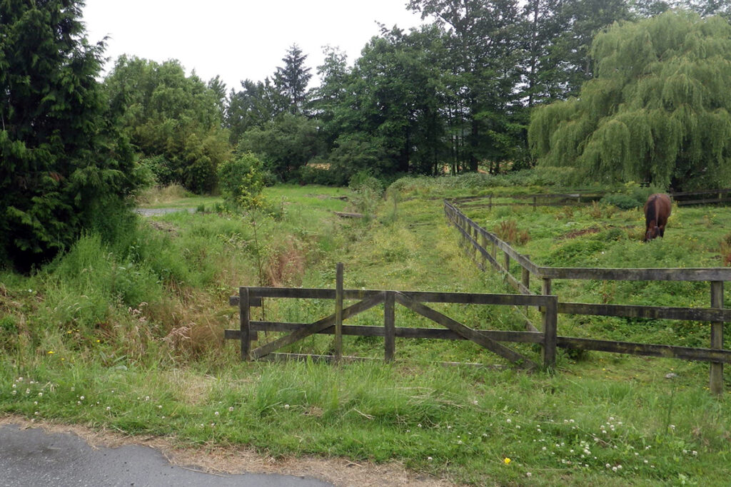 Stream beside horse paddock