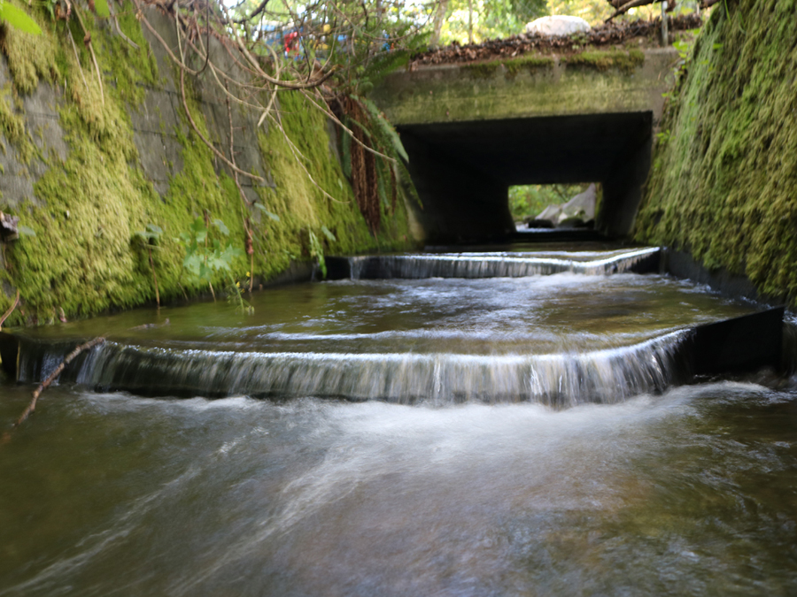 Flexi Baffle Installation at Bon Accord Creek – Surrey, BC